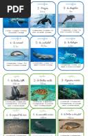 Image result for Leptonychia tokana