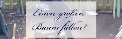 Maybe you would like to learn more about one of these? Einen Grossen Baum Fallen Wie Mache Ich Das Richtig