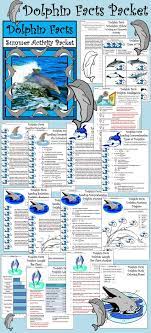 Summer Activities Dolphin Facts Color Version Dolphin Facts Dolphins Marine Biology
