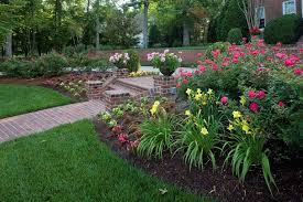 Daffodils Around The Edge Landscape Design Rose Garden Landscape Landscaping With Roses