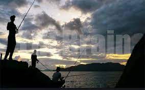 Check spelling or type a new query. Cari Tahu Kunci Jawaban Kucing Sedang Memancing Brain Out Gpuofthebrain