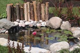 We did not find results for: How To Repair A Torn Pond Liner Blain S Farm Fleet Blog