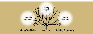 Faculty Development & Success | Faculty Affairs | University of Colorado  Boulder