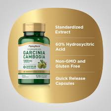 Image result for Garcinia pachyclada