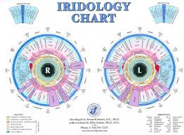 Iridology Chart Advocates For Dr Sebi