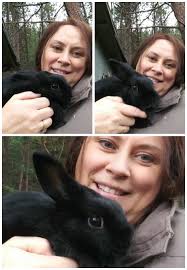 Is it safe to put a Dutch rabbit