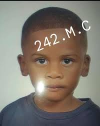 Michael Ray Stice, 62, was taken to the hospital and pronounced dead after  the sheriff's office said he became unresponsive while resisting arrest.