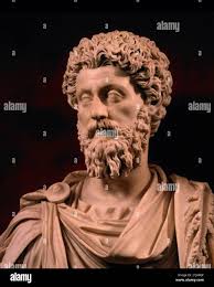 Marcus brown hi-res stock photography and images