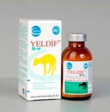 Yeldif Vetilac Com Komedi Filmleri Komedi