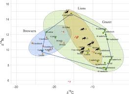 The database also indicates that elderly, mature, and aging have been falling in popularity over the past 30 years. Differentiating Captive And Wild African Lion Panthera Leo Populations In South Africa Using Stable Carbon And Nitrogen Isotope Analysis Springerlink