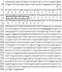 Tahun depan qeram pulak masuk sekolah di smart reader kids. Thymosin B12 Characteristics And Function In Urechis Unicinctus Sciencedirect