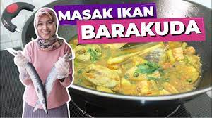 Untuk pertama kalinya aku masak pesmol ikan kakap, cara masak ikan kakap. Masak Barakuda Kuah Kuning Ikannya Panjang Bersisik Kayak Youtube