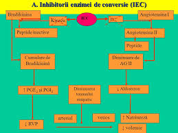 Convertește hormonul angiotensină i în vasoconstrictor activ angiotensina ii. Medicatia Antihipertensiva Ppt Katebasma