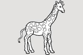 Download Free 9 Giraffe Cliparts In Vector Eps PSD Mockup Templates