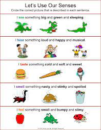 Five Senses Worksheet Kindergarten Worksheets Printable Kindergarten Worksheets
