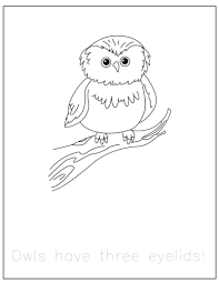 Free Forest Animals Coloring Pages With Traceable Fun Facts Animal Coloring Pages Forest Coloring Pages Animal Coloring Books