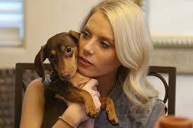 The Twins: Happily Ever After's Emily and Haley Ferguson