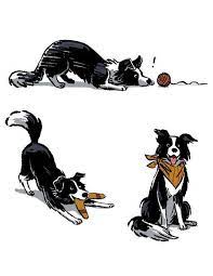 Vintage Porcelain Border Collie Black And White Dog Illustration Dog Art Dog Drawing
