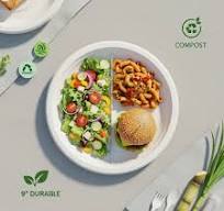 9 Inch Bagasse Plates – Eco-Friendly Disposable Tableware