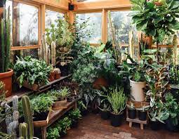 The larger you build your pit greenhouse the more efficient, as the temperatures inside of a small greenhouse can fluctuate quite quickly. We Rearranged The Entire Solarium Today Creating This Little Slice Of Jungle What Do You Think Room With Plants Indoor Plants Plants