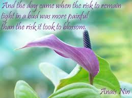 Anais Nin Excerpts And The Day Came When The Risk To Remain Tight In A Bud Was More Painful Than The Risk It Took To Blossom