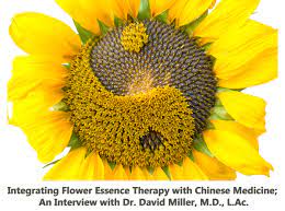 By Jann Garitty Correlating Flower Essences With Aspects Of Chinese Medicine Foundational Flower Essences For Children About Dr Miller Dr David Miller Chicago Il Has A Dynamic Holistic Medical Care Practice That Blends His Background Training In