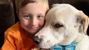 Fundraiser for Ruth Gentry by Julia Ameil : Sammy needs your help!