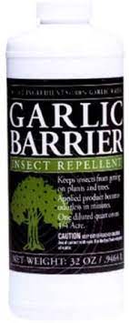 The homemade garlic spray is a preferred option by many gardeners. Amazon Com Garlic Barrier 32 Oz Insect Repellent White Garden Outdoor
