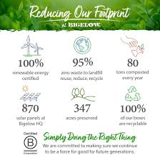 Bigelow Assorted Flavor Herbal Tea, Black Tea, Green Tea Bag - 64 / Box -  Financial Supply Center