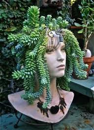 Jardin Garden Jardins Projets De Jardins Et Jardinage