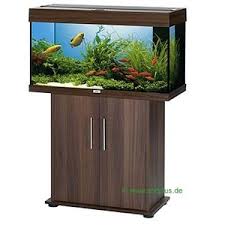 Dieser ist für die nötige. Juwel Aquarium Schrank Kombination Rio 125 Buche Aktuelle Top Angebote Im Web Gunstig Online Kaufen