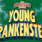 The Mel Brooks Musical, Young Frankenstein - Fine and Performing Arts Center at Moraine Valley Community College, 9000 College Pkwy Event Image