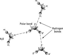 4 Types Of Chemical Bonds Dummies