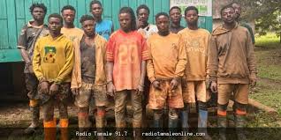 Forestry Commission arrests 12 illegal miners in Atewa Forest | Radio Tamale