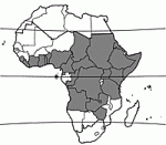 Image result for Chasmanthera dependens