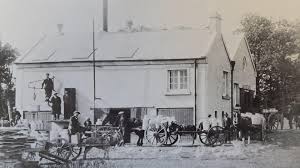 document history of Mayo creameries ...