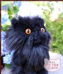 Black Cat Plushie Long Hair Stuffed Animal Ooak Longhair Etsy Black Cat Cats Animals