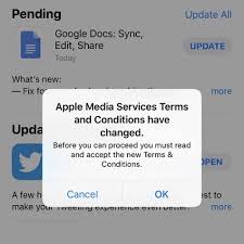 Run the apps troubleshooter results stated that a file or files have gone corrupt or are missing. How To Fix The App Store Apple Media Services Terms And Conditions Bug