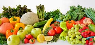 Résultat de recherche d'images pour "sociétés Agrolog et Agrume"