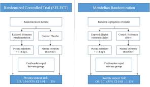 The pancreas is a bodily organ that few people think about. Circulating Selenium And Prostate Cancer Risk A Mendelian Randomization Analysis Biorxiv