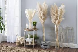 3 Gorgeous High Quality Pampas Grass Stems Pampas Grass Etsy In 2020 Pampas Grass Wedding Pampas Grass