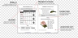 By using ipa you can know exactly how to pronounce a certain word in english. Pronunciation Studio English Spoken Language International Phonetic Alphabet Pronounce English Text Png Pngegg