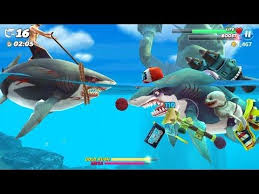 Hungry Sw Net Youtube Shark World Special