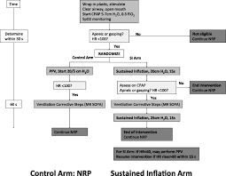 Resuscitation Algorithm Abbreviations In Figure Cpap