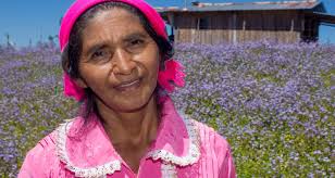 Honduras to Conduct First Survey