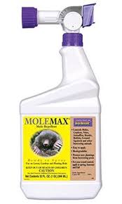 Bioadvanced Fungus Control For Lawns Ready To Spray 32 Ounce Dr Earth 32 Oz Final Stop Yard And Garden Insect Killer Details Can Be Found By Clicking On The Image This Is An Amazon Affiliate Link Gardening Garde
