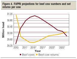 Whats Next In The Beef Price Cycle Part 3 Beef Magazine