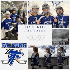 Danvers Falcons Hockey