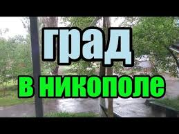 Подробный погоды на сегодня, завтра, 7 дней. Ukraina Pogoda V Nikopole Grad I Solnce Sneg I Dozhd Ukraine Weather In Nikopol Hail And Sun Youtube