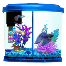 Top Fin Liquidy Split Aquarium 1 Gallon In 2020 Fish Tank Decorations Aquarium Kit Betta Fish Tank